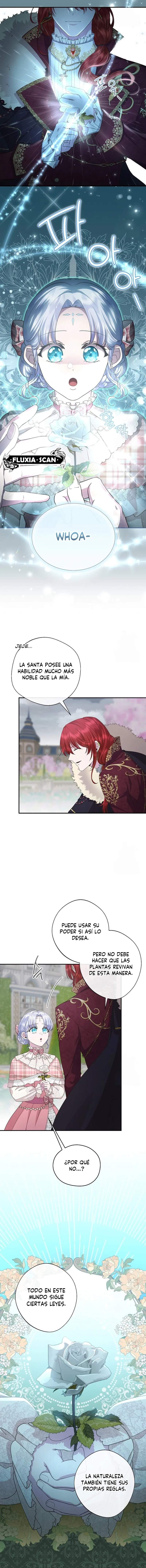 5 Las violetas que florecieron en el jardín