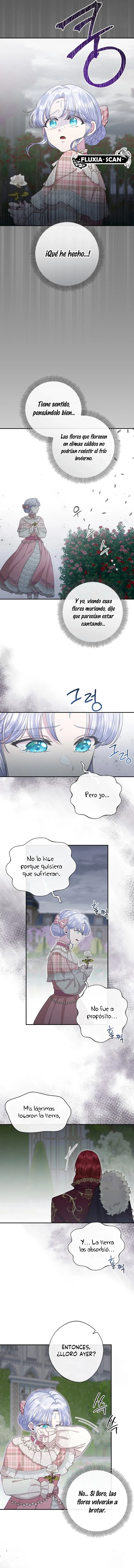 7 Las violetas que florecieron en el jardín