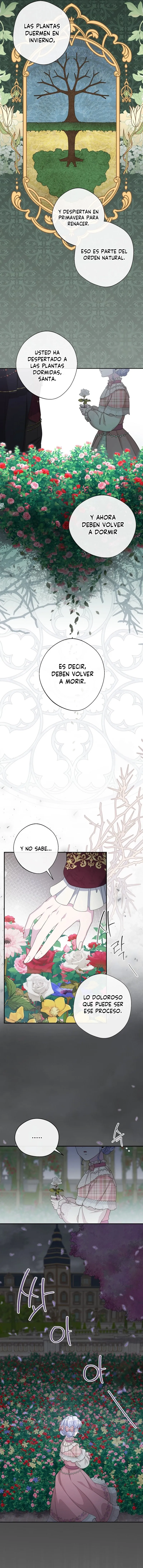 6 Las violetas que florecieron en el jardín