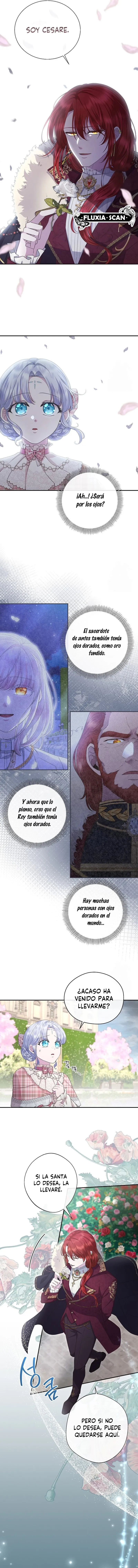 4 Las violetas que florecieron en el jardín