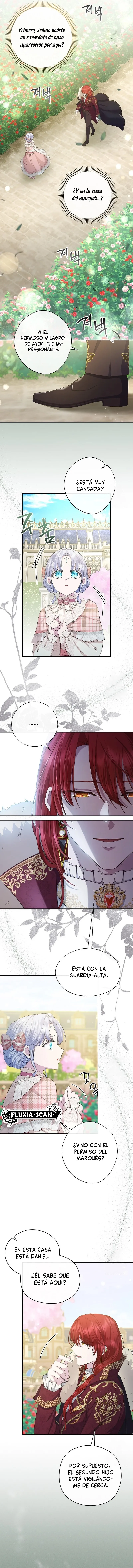 2 Las violetas que florecieron en el jardín