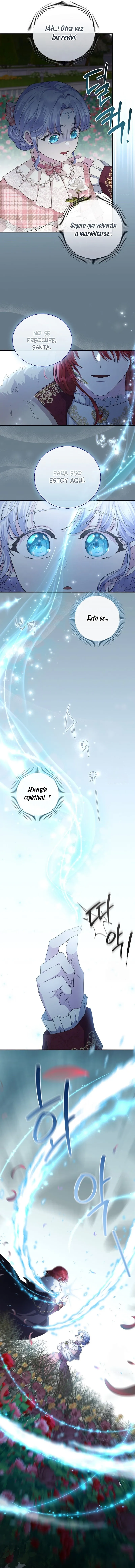 10 Las violetas que florecieron en el jardín