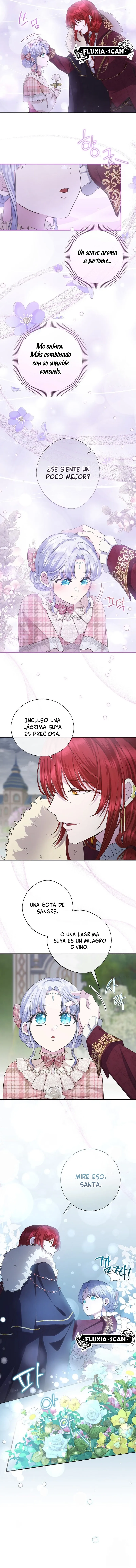 9 Las violetas que florecieron en el jardín