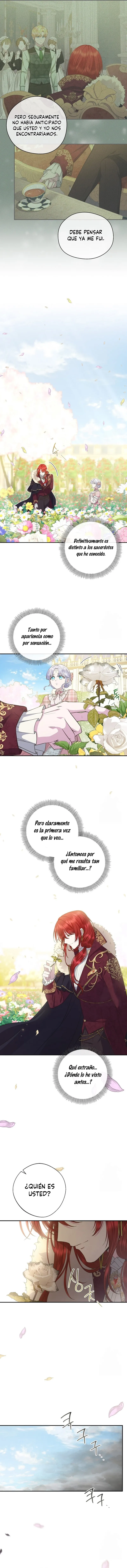 3 Las violetas que florecieron en el jardín