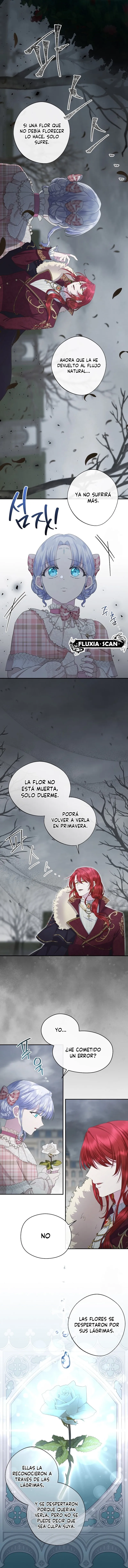 11 Las violetas que florecieron en el jardín