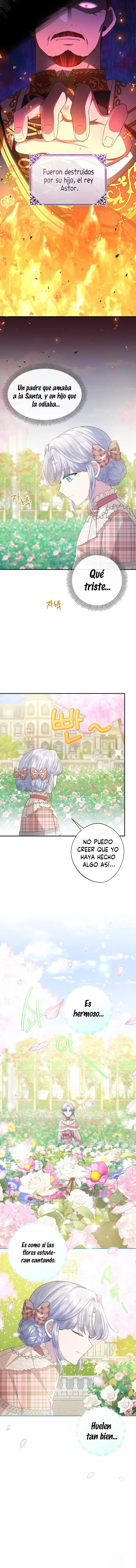 9 Las violetas que florecieron en el jardín