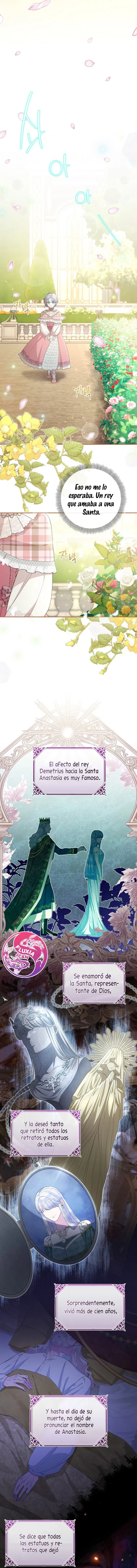 8 Las violetas que florecieron en el jardín