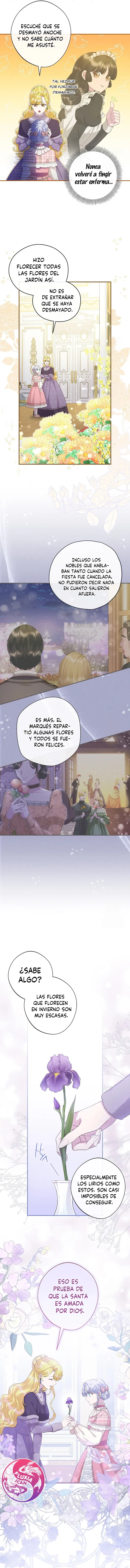 1 Las violetas que florecieron en el jardín