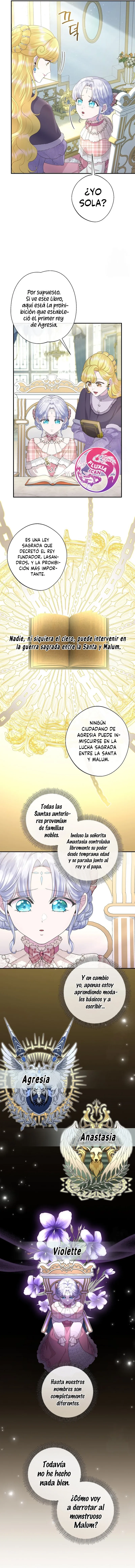 5 Las violetas que florecieron en el jardín