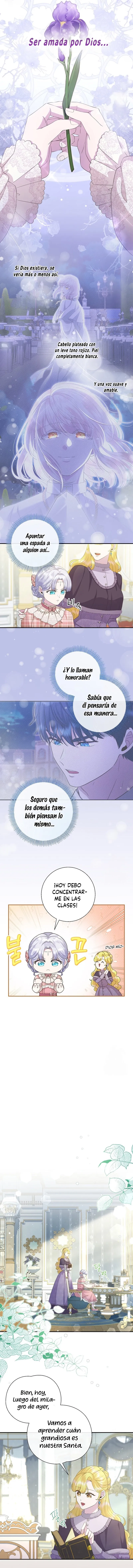 2 Las violetas que florecieron en el jardín