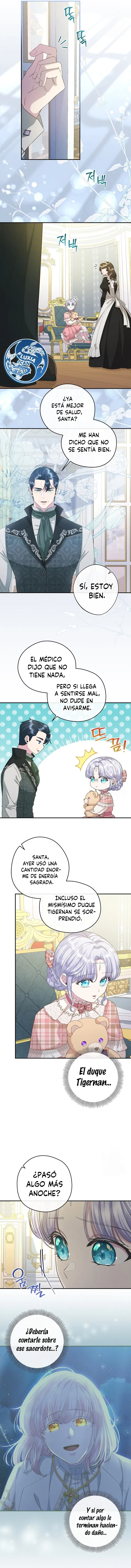 10 Las violetas que florecieron en el jardín