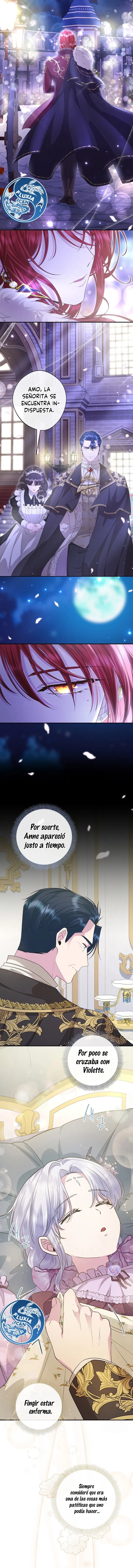 7 Las violetas que florecieron en el jardín