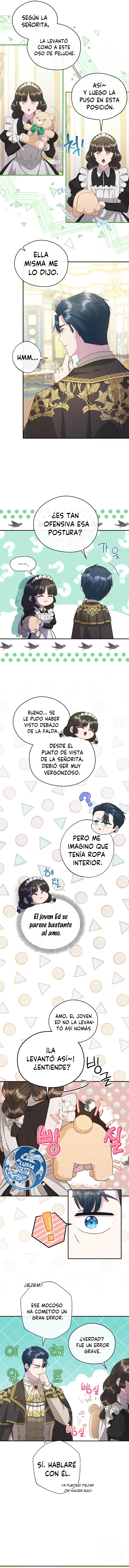 5 Las violetas que florecieron en el jardín