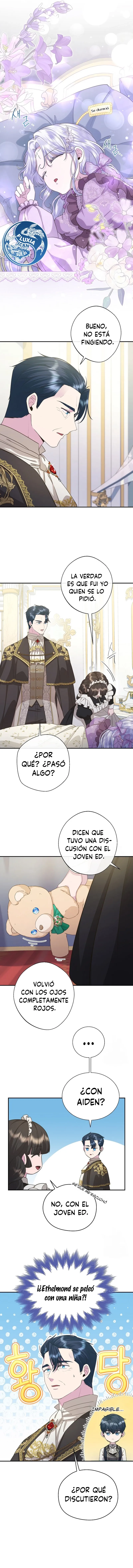 4 Las violetas que florecieron en el jardín