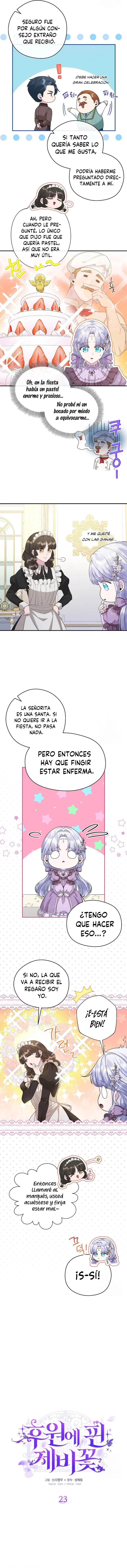 3 Las violetas que florecieron en el jardín