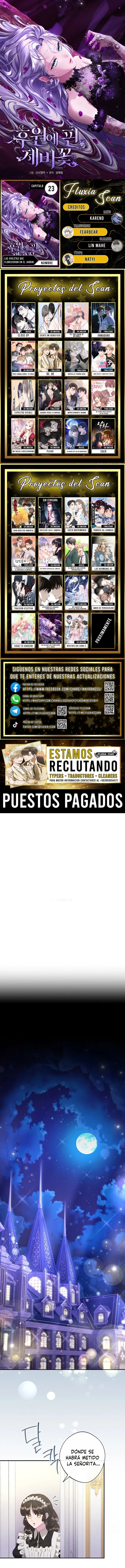 0 Las violetas que florecieron en el jardín