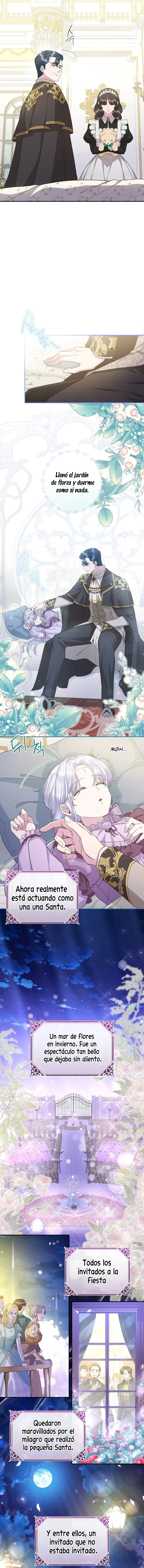 6 Las violetas que florecieron en el jardín