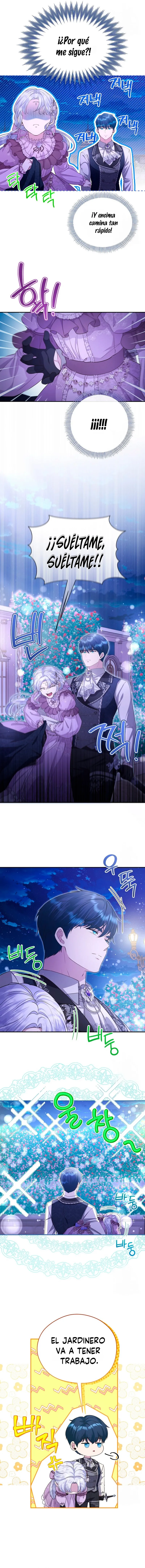 9 Las violetas que florecieron en el jardín