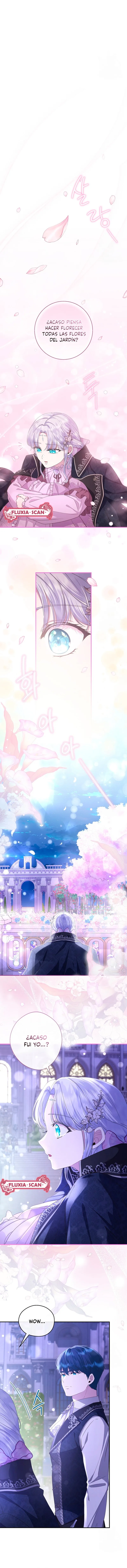 6 Las violetas que florecieron en el jardín