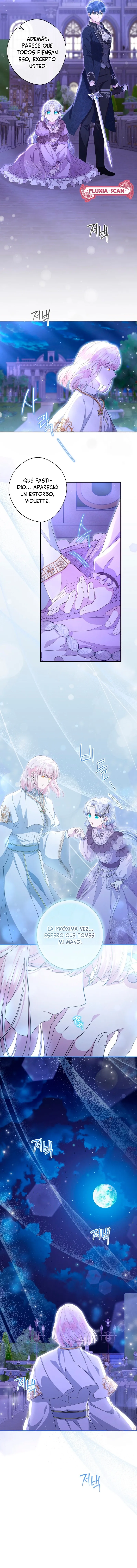 3 Las violetas que florecieron en el jardín