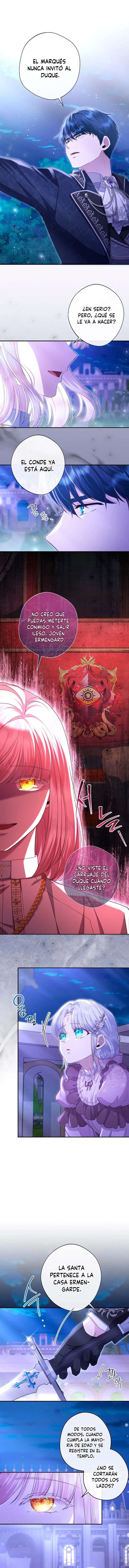 2 Las violetas que florecieron en el jardín