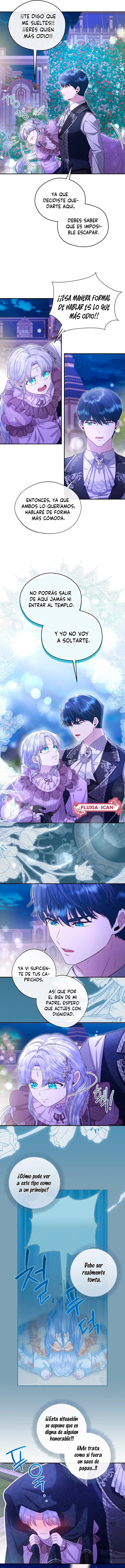 10 Las violetas que florecieron en el jardín