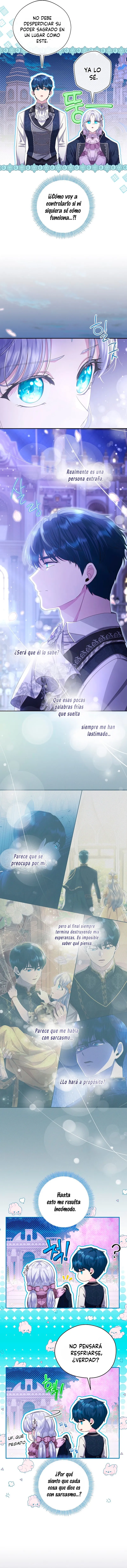 7 Las violetas que florecieron en el jardín