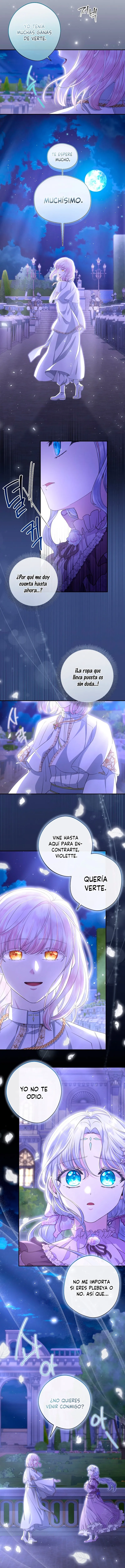 10 Las violetas que florecieron en el jardín