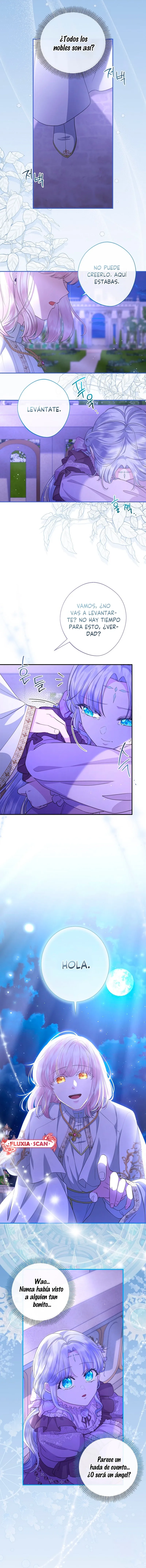 6 Las violetas que florecieron en el jardín