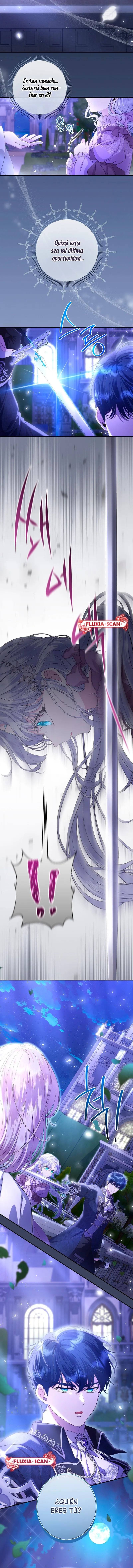 11 Las violetas que florecieron en el jardín