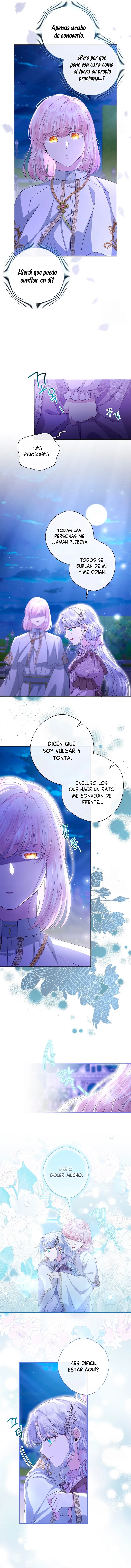 8 Las violetas que florecieron en el jardín