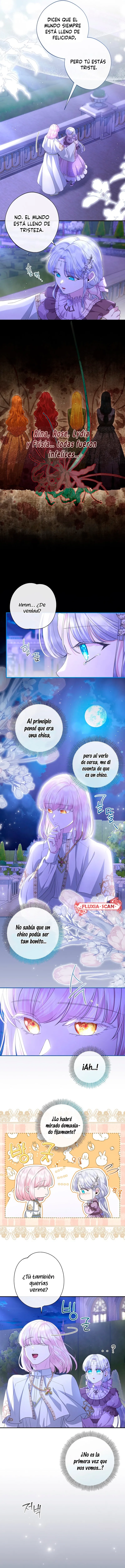 9 Las violetas que florecieron en el jardín