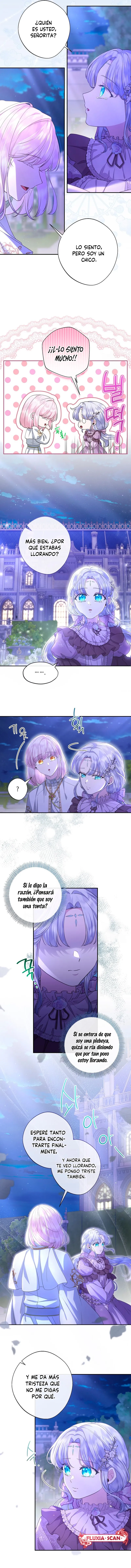 7 Las violetas que florecieron en el jardín