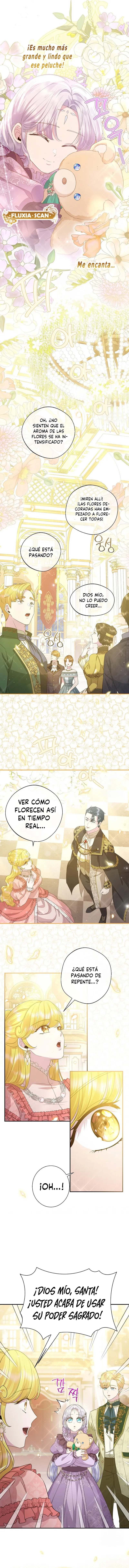 12 Las violetas que florecieron en el jardín