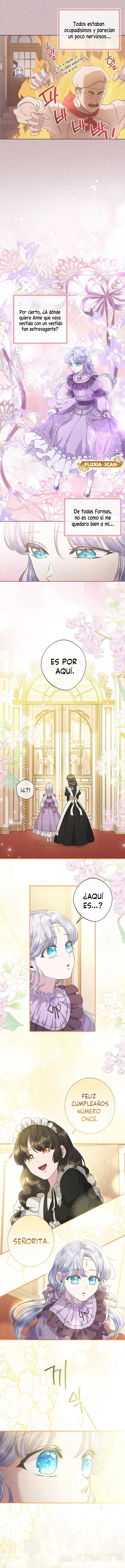 3 Las violetas que florecieron en el jardín