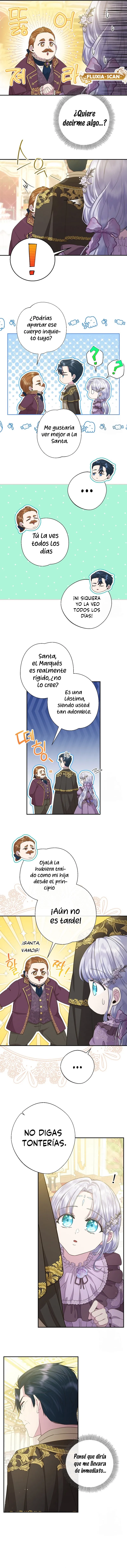 9 Las violetas que florecieron en el jardín