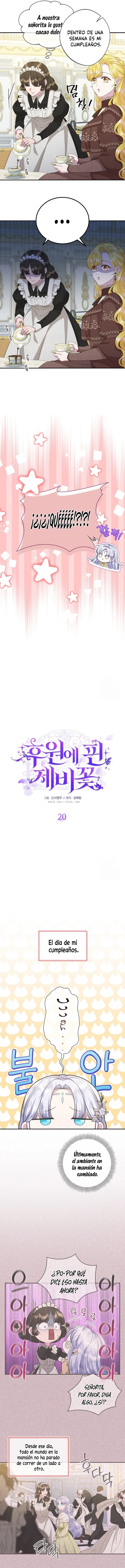 2 Las violetas que florecieron en el jardín