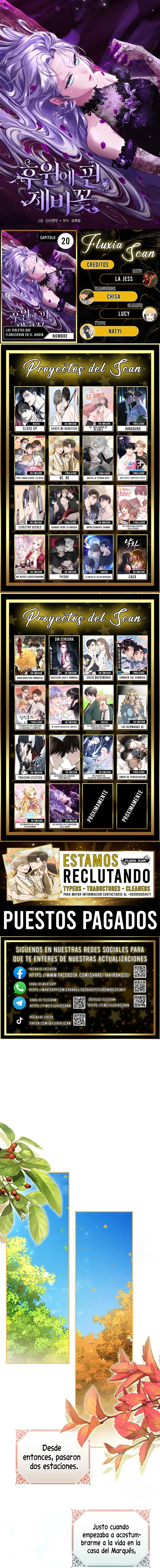 0 Las violetas que florecieron en el jardín