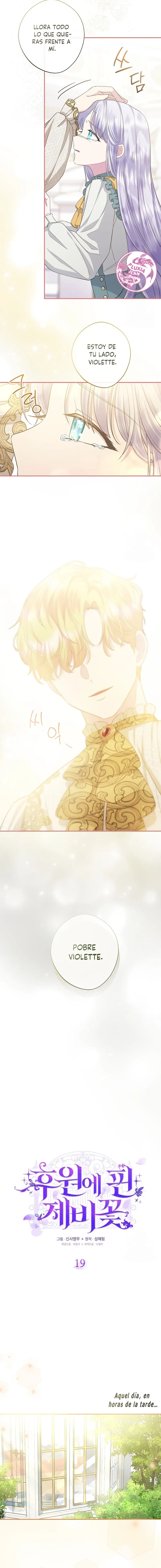 4 Las violetas que florecieron en el jardín