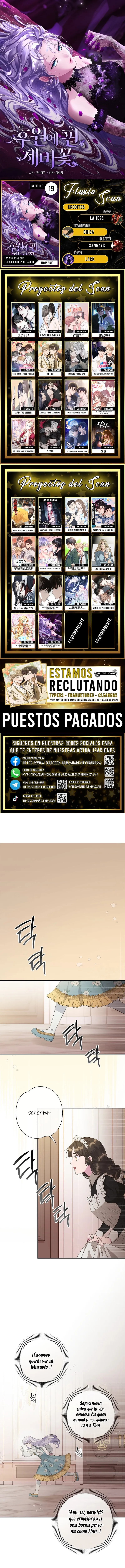 0 Las violetas que florecieron en el jardín