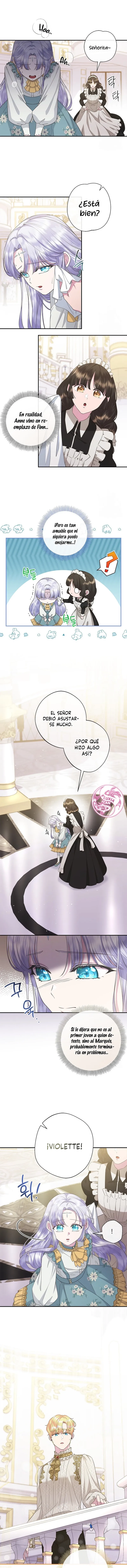 1 Las violetas que florecieron en el jardín