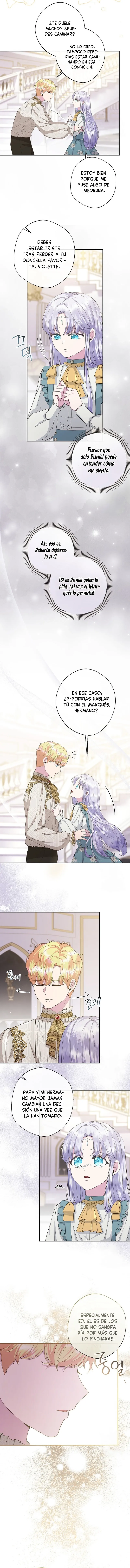 3 Las violetas que florecieron en el jardín