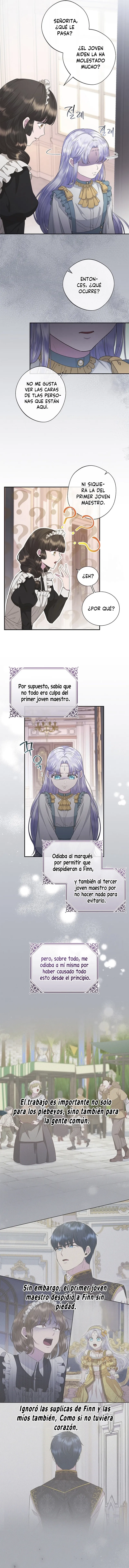 5 Las violetas que florecieron en el jardín