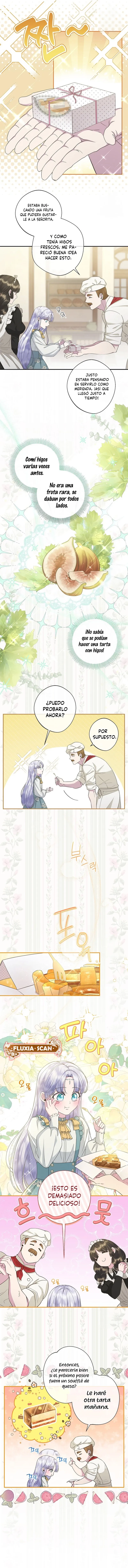 3 Las violetas que florecieron en el jardín