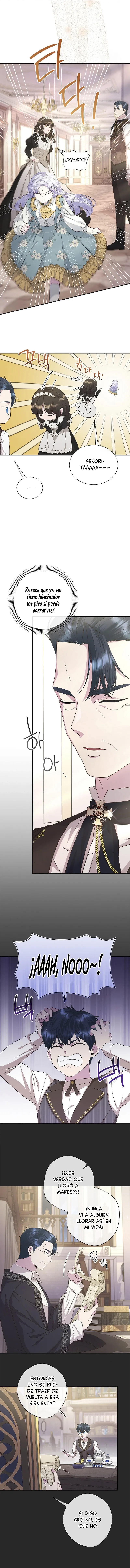 8 Las violetas que florecieron en el jardín