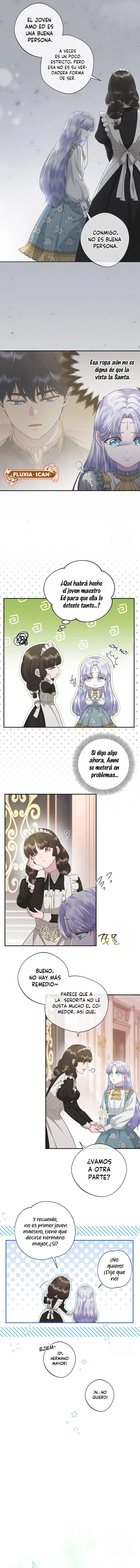 6 Las violetas que florecieron en el jardín