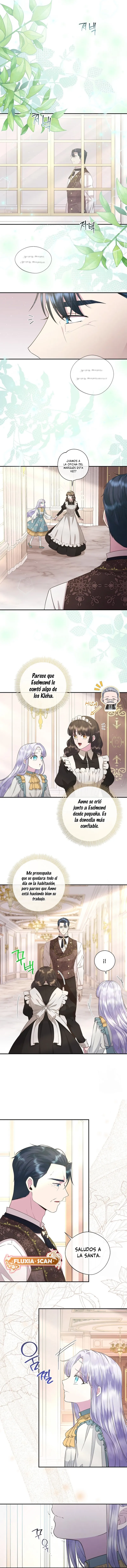 7 Las violetas que florecieron en el jardín