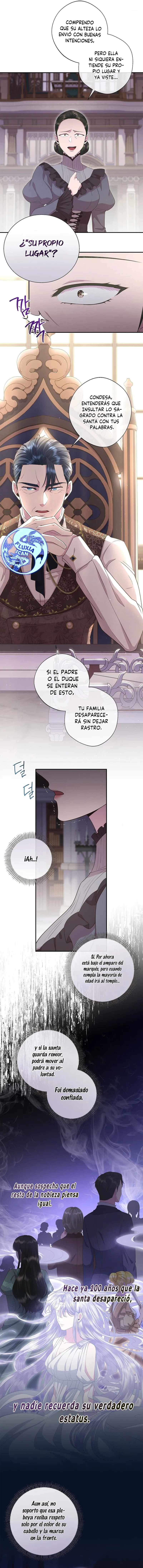 5 Las violetas que florecieron en el jardín