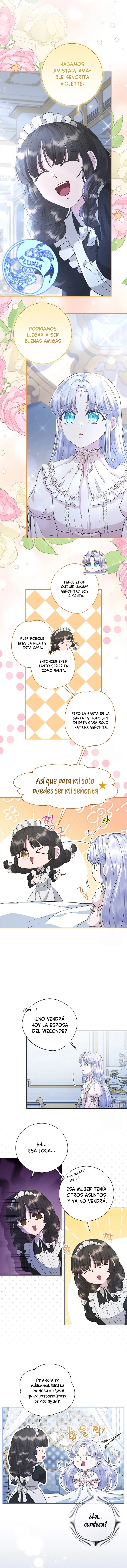 11 Las violetas que florecieron en el jardín