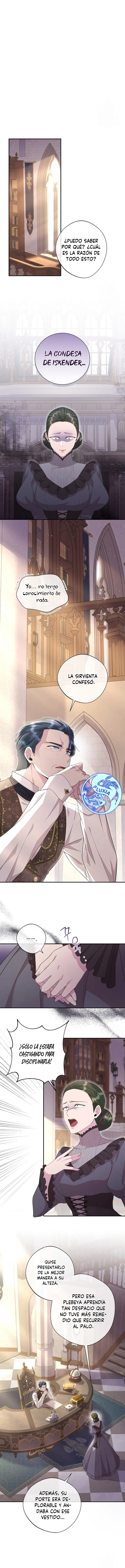 4 Las violetas que florecieron en el jardín